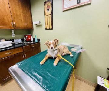 Gulf Gate Animal Hospital
