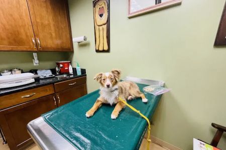 Gulf Gate Animal Hospital