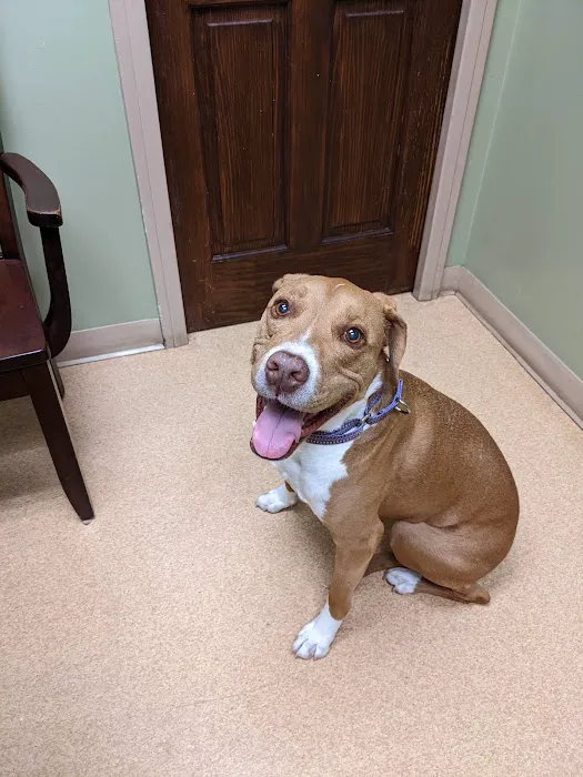 Gulf Gate Animal Hospital 12