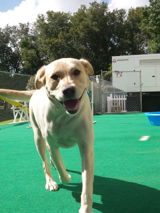Ashton Animal Clinic & The Pet Resort 5