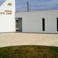 Animal Eye Care, inc ico
