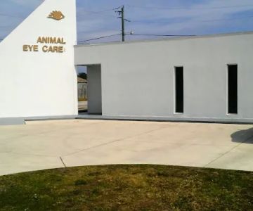 Animal Eye Care, inc