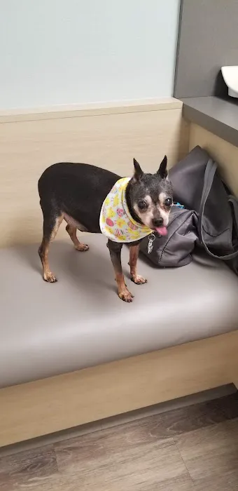 Clark Road Animal Clinic 12
