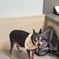 Clark Road Animal Clinic ico