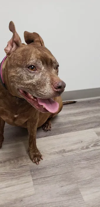 Clark Road Animal Clinic 12
