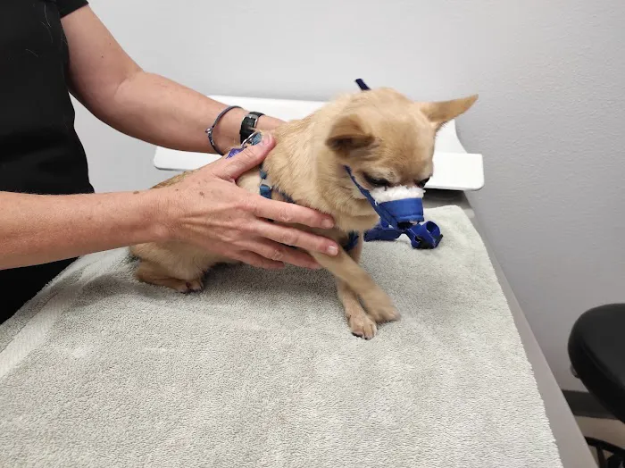 Best Friends Animal Hospital 12
