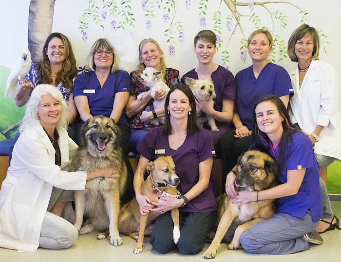 Best Friends Animal Hospital 12