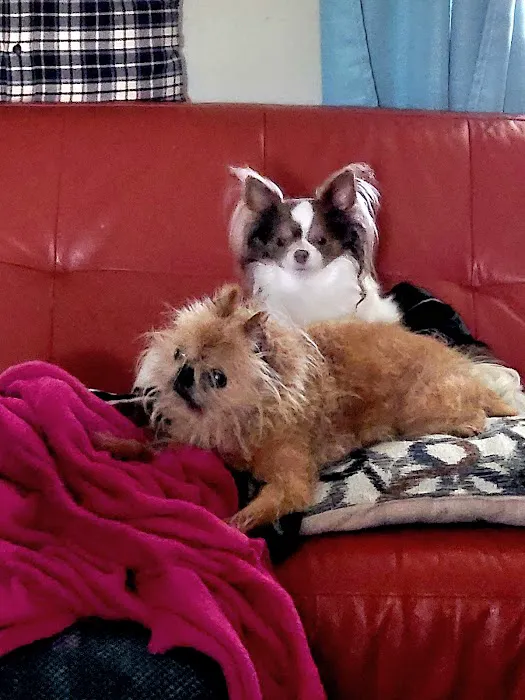 Best Friends Animal Hospital 12