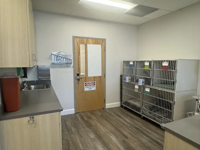 Hometown Veterinary Partners St Petersburg 12