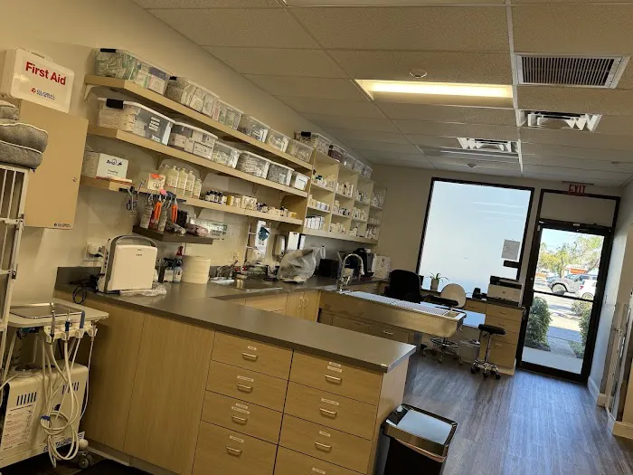 Hometown Veterinary Partners St Petersburg 12