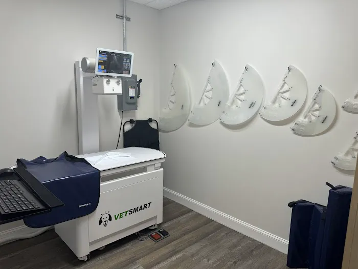 Hometown Veterinary Partners St Petersburg 12
