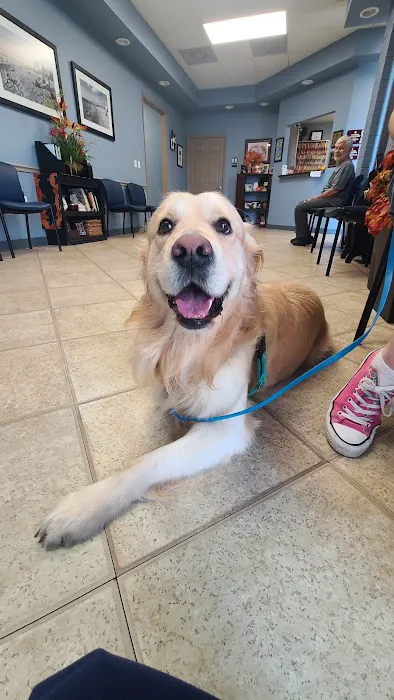Gulfcoast Veterinary 4