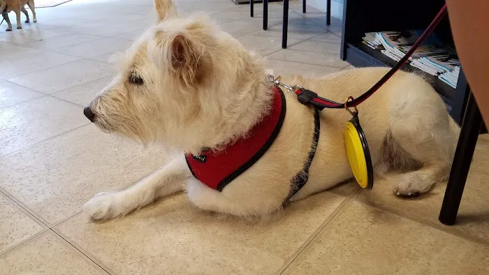Gulfcoast Veterinary 1