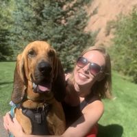 Beneva Animal Hospital Inc ico