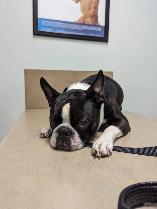 Palmer Ranch Animal Clinic 12