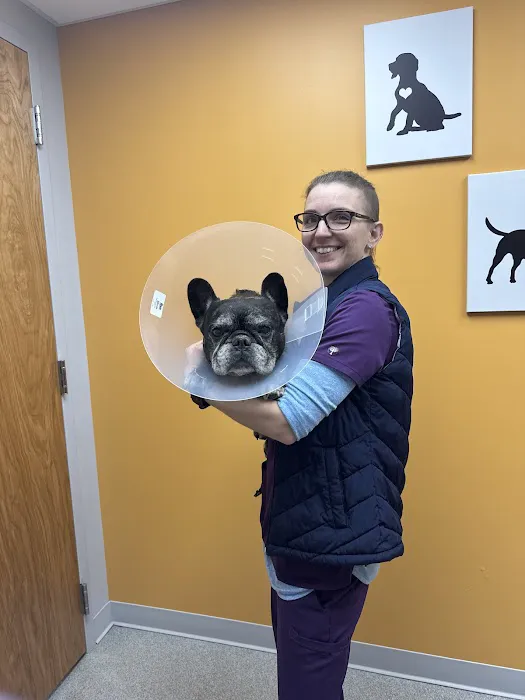 KindVet of Sarasota Urgent Care 12