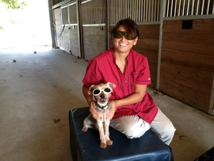 Holistic Veterinary House Calls 3