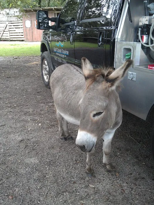 Gulf Coast Equine Veterinary Services, Inc. 12