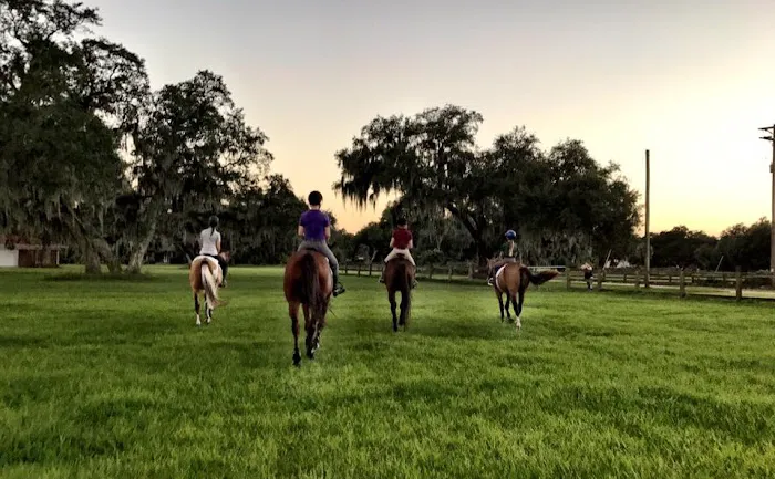 Gulf Coast Equine Veterinary Services, Inc. 12