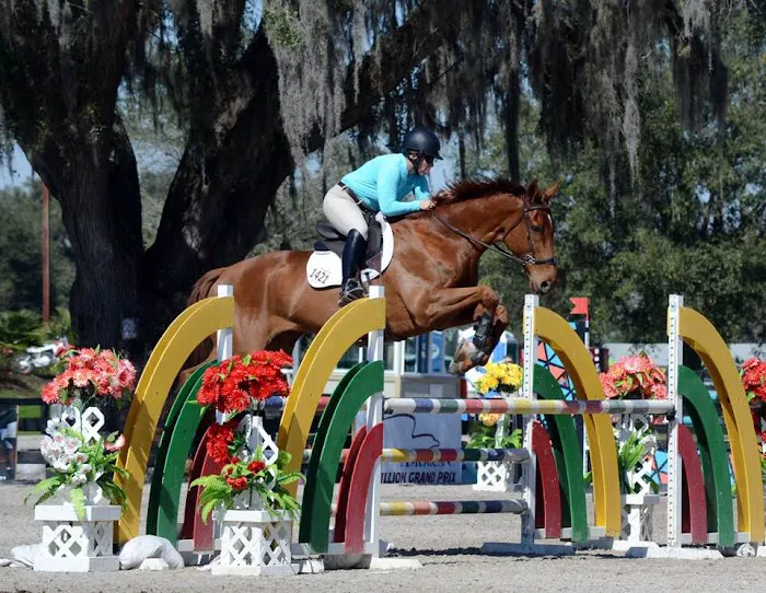 Gulf Coast Equine Veterinary Services, Inc. 12
