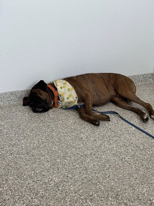 Wellness Animal Hospital - Palmer Ranch 3