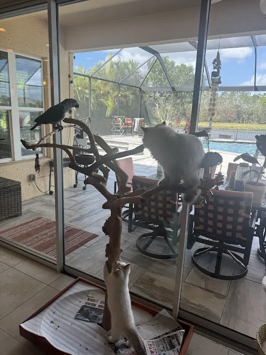 Wellness Animal Hospital - Palmer Ranch 4
