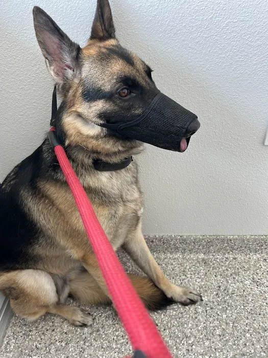 Wellness Animal Hospital - Palmer Ranch 8