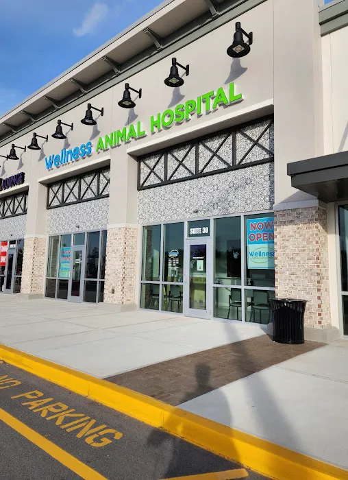 Wellness Animal Hospital - Palmer Ranch 6