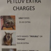 Pet Luv Non Profit Spay Center ico