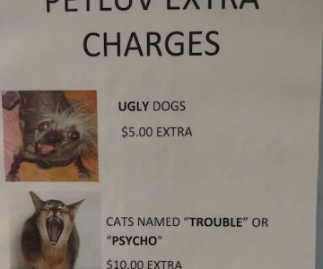 Pet Luv Non Profit Spay Center