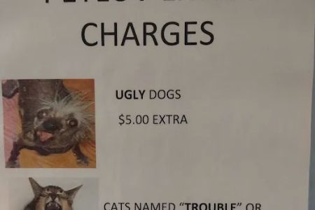 Pet Luv Non Profit Spay Center