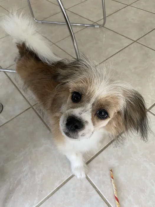 Vetco Total Care Animal Hospital 12