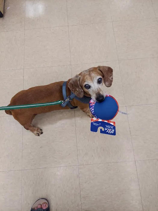 Vetco Total Care Animal Hospital 12