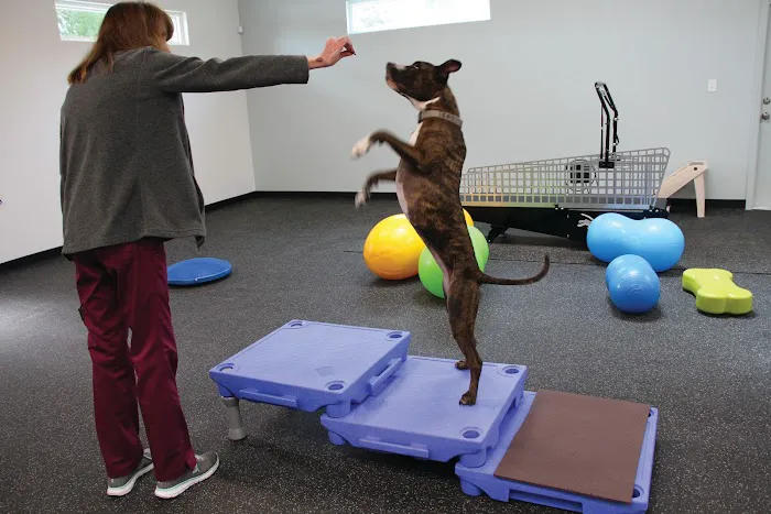 Steele Pain Management & Rehabilitation Center 12