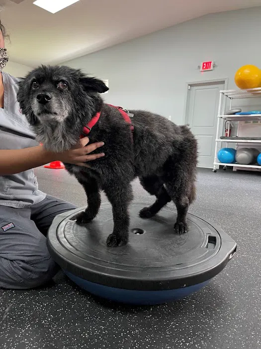 Steele Pain Management & Rehabilitation Center 12