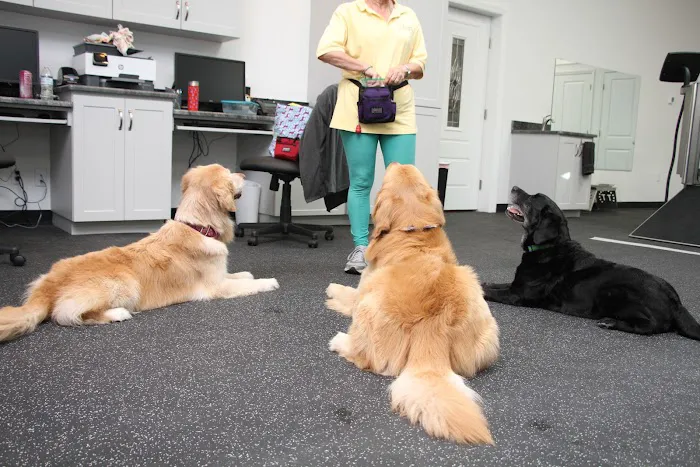 Steele Pain Management & Rehabilitation Center 12