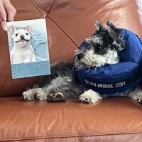 Nature Coast Animal Wellness and Surgical Center ico