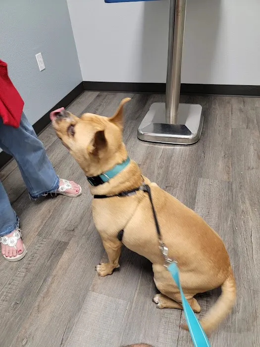 Nature Coast Animal Wellness and Surgical Center 12
