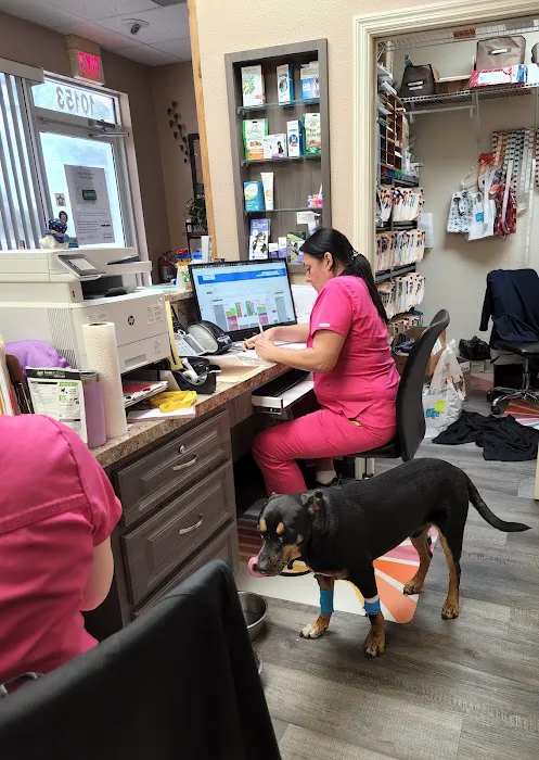 Nature Coast Animal Wellness and Surgical Center 12