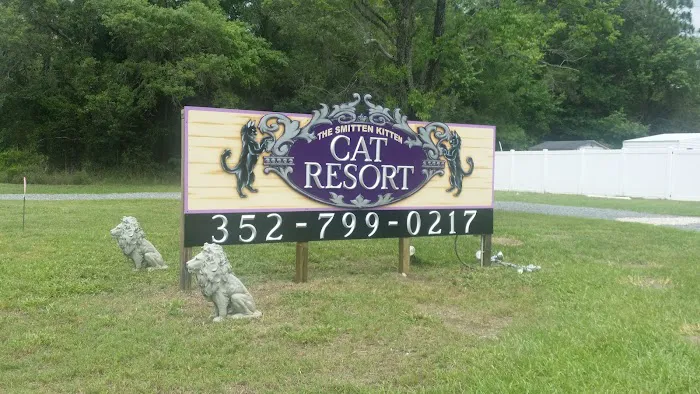 The Smitten Kitten Cat Resort 12