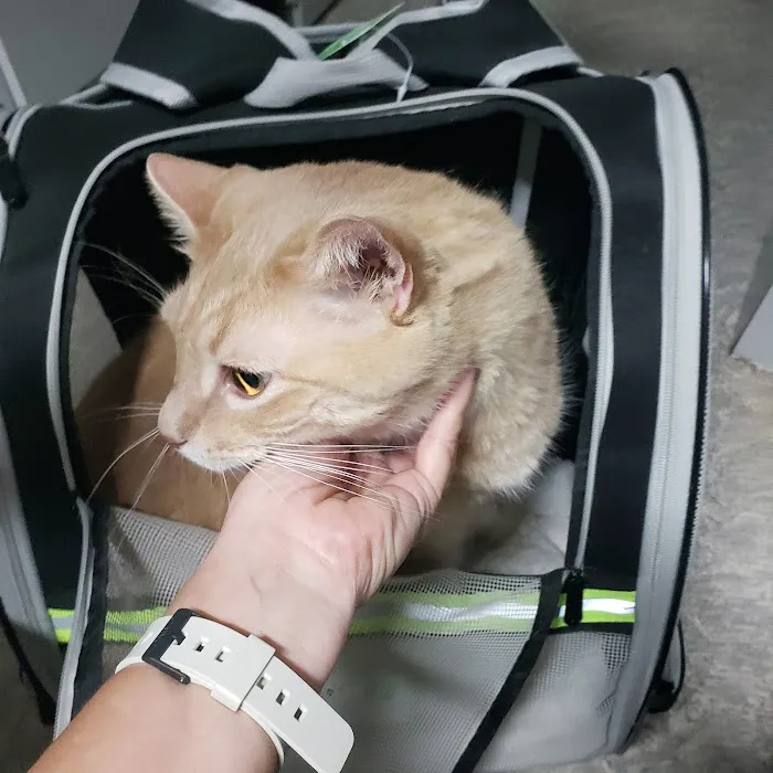 Wags & Whiskers Mobile Veterinary Practice 12