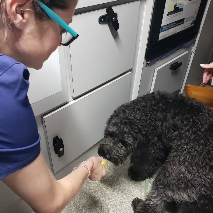 Wags & Whiskers Mobile Veterinary Practice 12