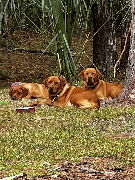 All County Animal Hospital 12