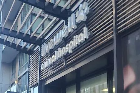 Livewell Animal Hospital of NoMa