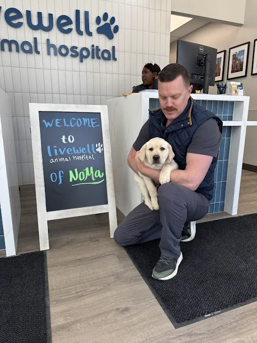 Livewell Animal Hospital of NoMa 4