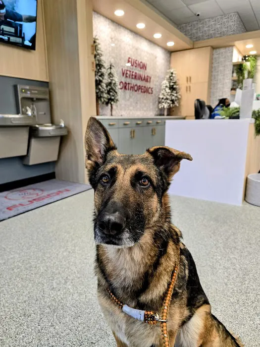 Fusion Veterinary Orthopedics 12