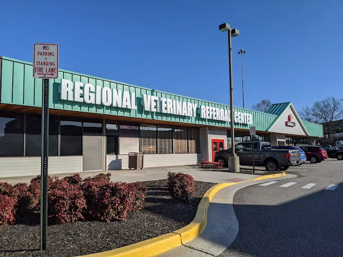 Bush Veterinary Neurology Service (BVNS) - Springfield 4