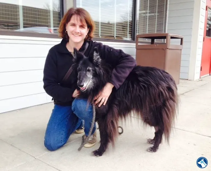 Bush Veterinary Neurology Service (BVNS) - Springfield 2