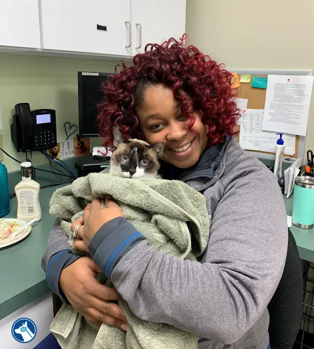 Bush Veterinary Neurology Service (BVNS) - Springfield 8