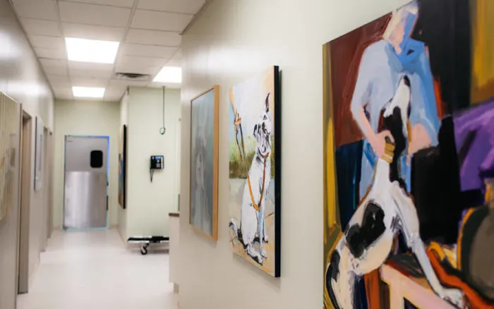 Animal Dermatology Clinic - Springfield 12
